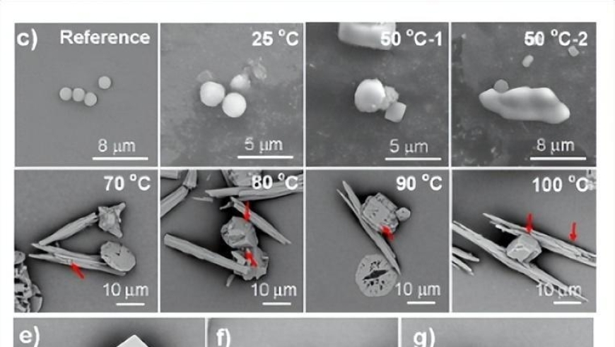 2025澳门资料大全免费十开,网红老师廖叔因病逝世,展开解析落实_交互版V14.13