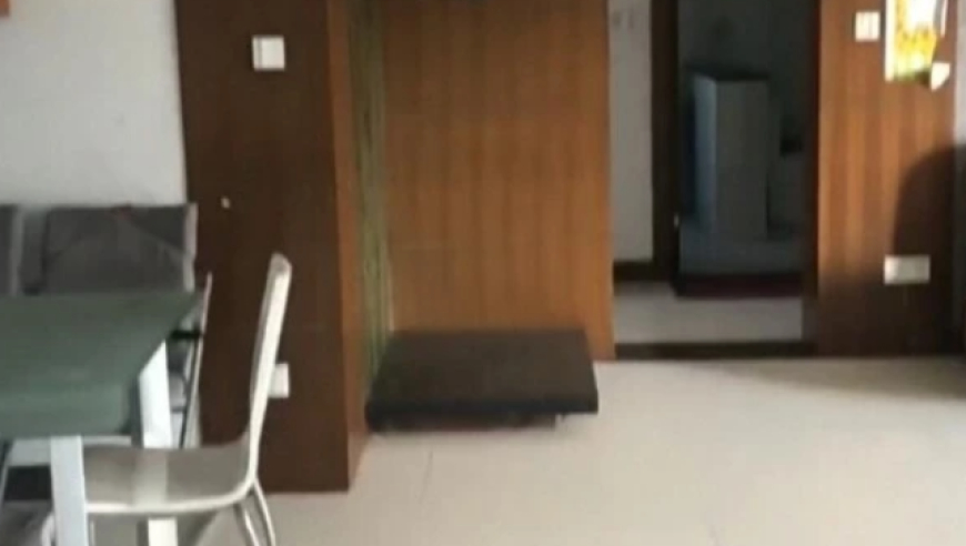 澳门一码精准一码资料,男子用锄头打死堂兄堂嫂被判死缓,最新热门解答落实_手机版V5.52