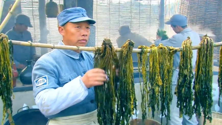 当00后成为非遗传承人,新奥门资料大全正版资料2025年免费,作答解释落实的民间信仰_VR版V11.33